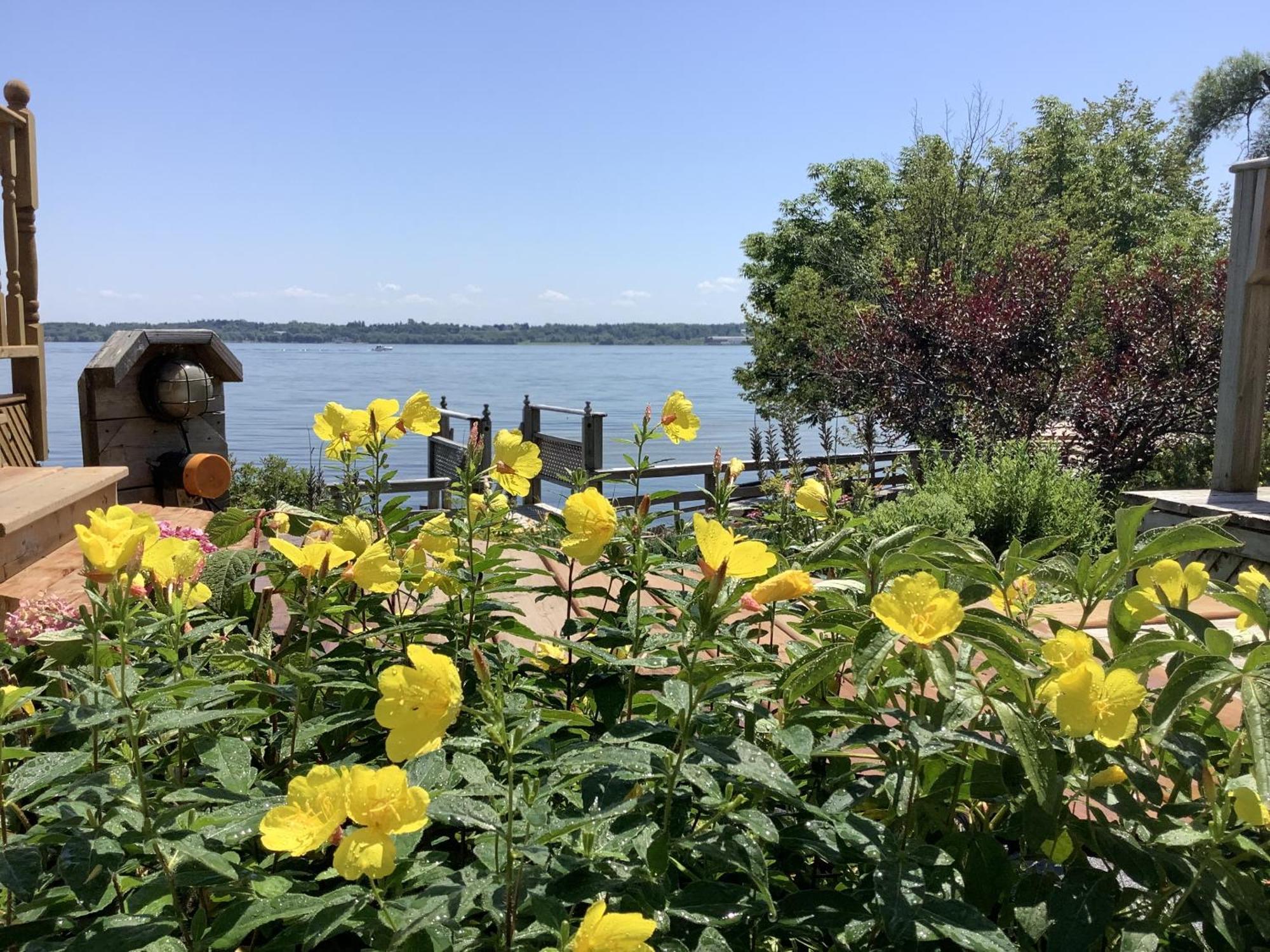 Dewar'S Inn And Cottages Prescott Екстер'єр фото